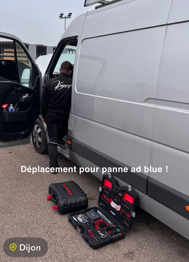 DeplacementADBLUE - Copie